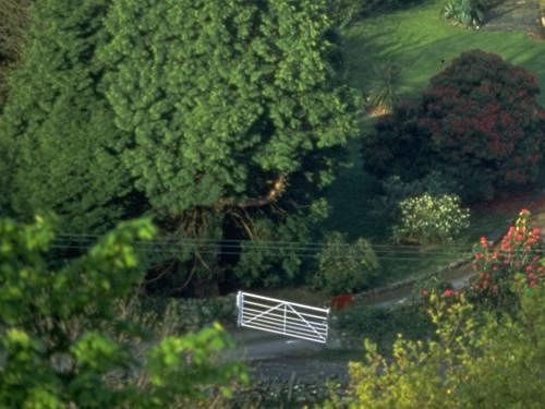 The Druid Inn Llanferres المظهر الخارجي الصورة